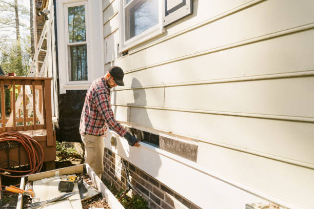 Top rated local Emergency Siding Repair specialists in Arlington, VA